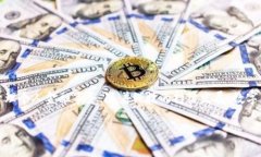 数字钱包的排名一般会考虑多个因素，包括用户