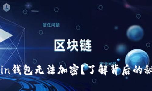 为什么你的Coin钱包无法加密？了解背后的秘密和解决方案