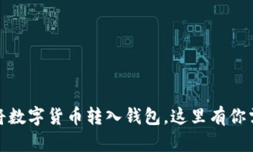轻松掌握：如何将数字货币转入钱包，这里有你需要知道的秘诀！