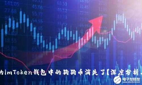 为什么我的imToken钱包中的狗狗币消失了？深度分析与解决方案