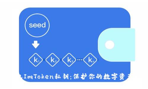 如何安全使用冷钱包ImToken私钥：保护你的数字资产不被盗的完整指南