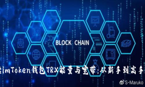 ### 解读imToken钱包TRX能量与宽带：从新手到高手的简单指南