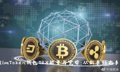 ### 解读imToken钱包TRX能量与宽带：从新手到高手的简单指南