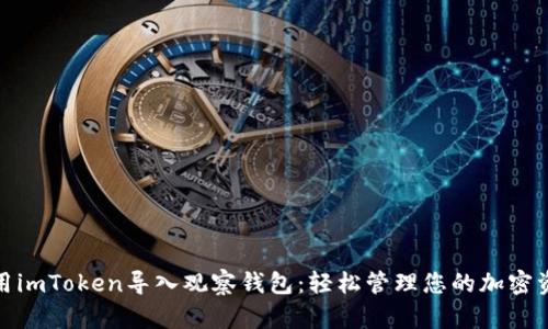 使用imToken导入观察钱包：轻松管理您的加密资产