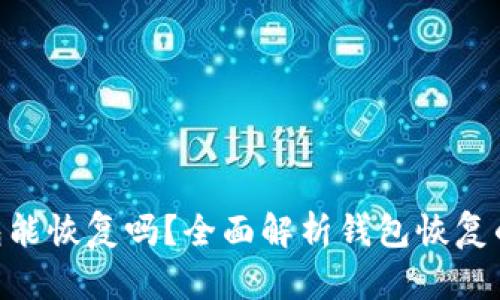 imToken钱包能恢复吗？全面解析钱包恢复的方法与建议
