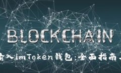 如何安全输入imToken钱包：全面指南与注意事项