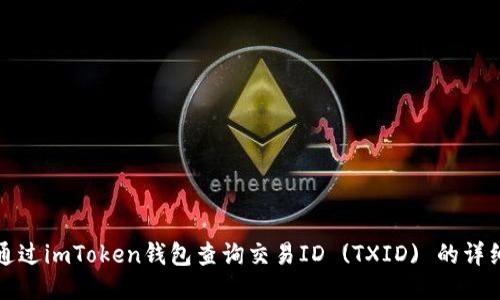如何通过imToken钱包查询交易ID (TXID) 的详细指南