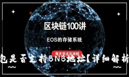 imToken钱包是否支持BNB地址？详细解析与使用指南