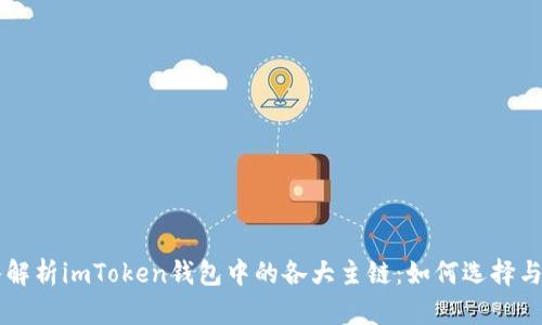 深入解析imToken钱包中的各大主链：如何选择与使用