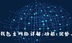 imToken 钱包主网络详解：功能、优势与使用指南