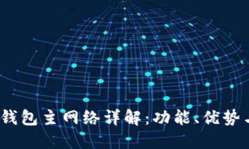 imToken 钱包主网络详解：功能、优势与使用指南