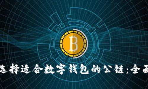 如何选择适合数字钱包的公链：全面指南