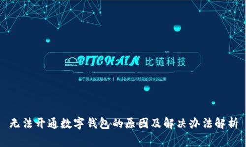 无法开通数字钱包的原因及解决办法解析